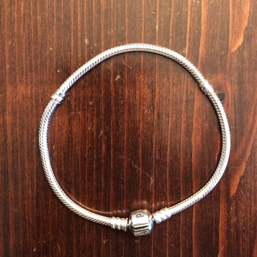 Pandora iconic sterling silver charm bracelet
